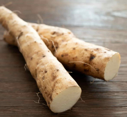 Wild Yam