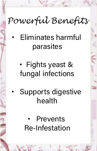 Para Cleanse - 3