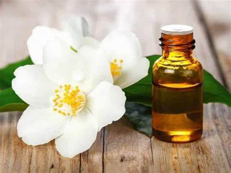 Jasmine Absolute Essential Oil