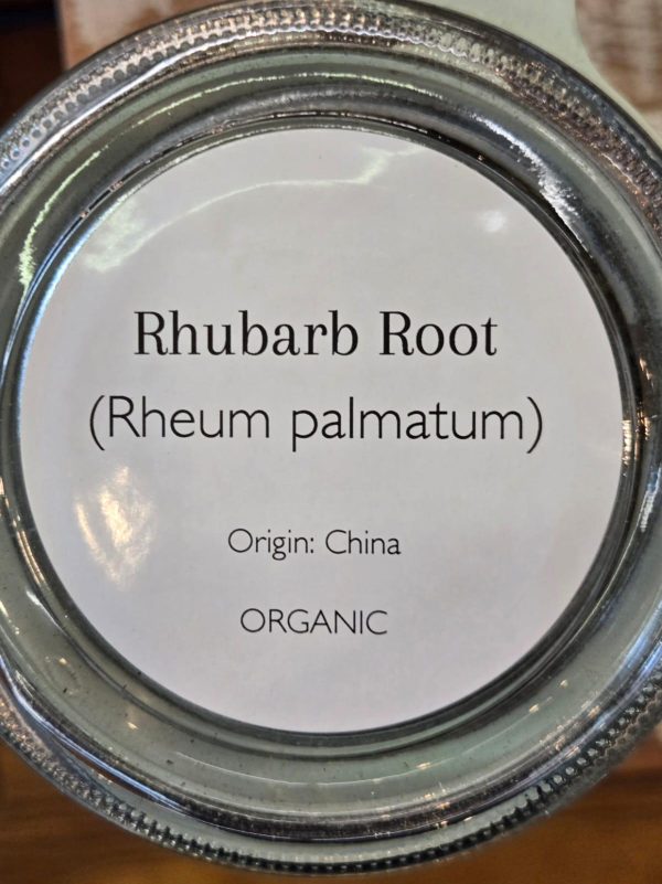 Rhubarb Root (Rheum palmatum) - Image 2