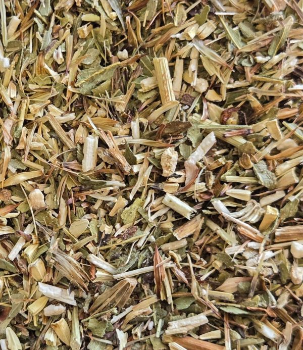 Echinacea (Echinacea Purpurea)