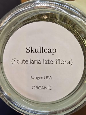Skullcap 1