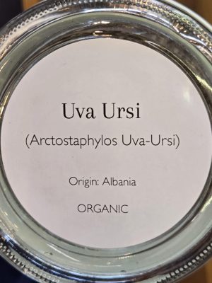 Uva Ursi 1