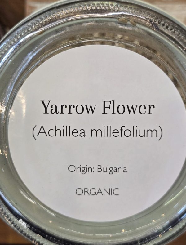 Yarrow Flower 1