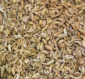 Fennel Seed (Foeniculum vulgare var. dulce)