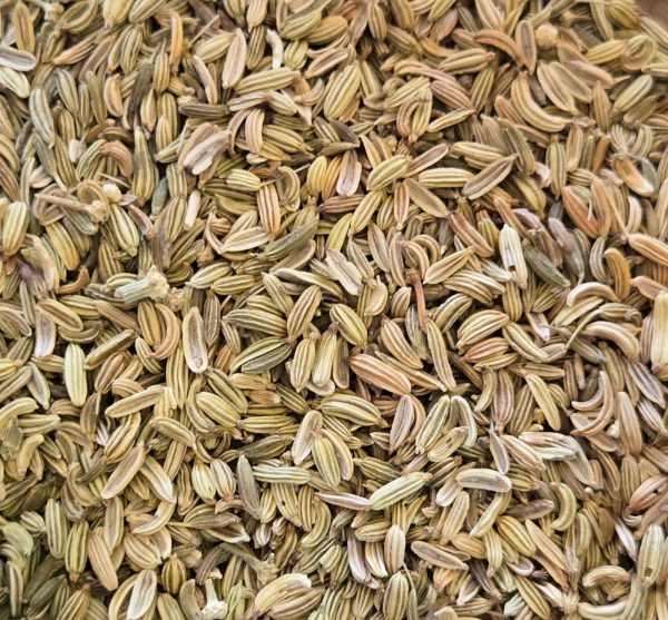 Fennel Seed (Foeniculum vulgare var. dulce)