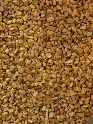Fenugreek Seed (Trigonella foenum-graecum)