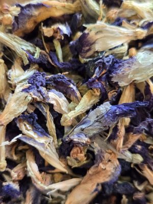 Butterfly Pea (Clitoria ternatea)