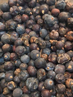 Juniper Berries (Juniperus Communis)