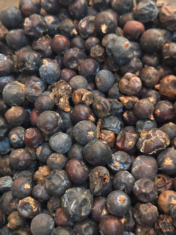 Juniper Berries (Juniperus Communis)