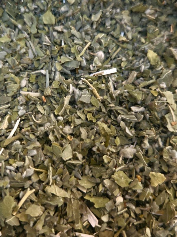 Marshmallow Root (Althaea officinalis)
