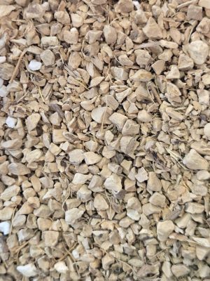 Wild Yam Root (Dioscorea Opposita)