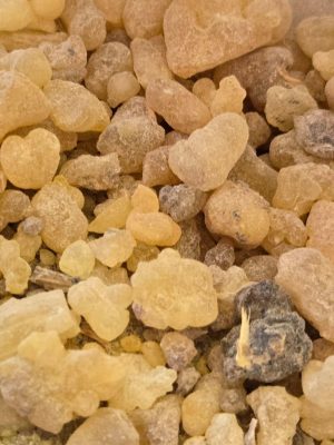 Frankincense Tears (Boswellia spp.)