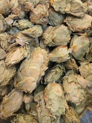 Hops Flowers (Humulus Lupulus)