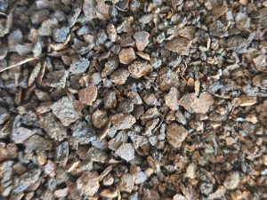 Black Walnut Hulls (Juglans Nigra)