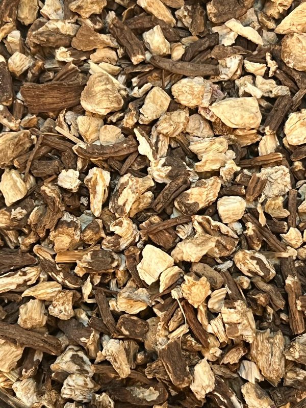 Angelica Root (Angelica archangelica)