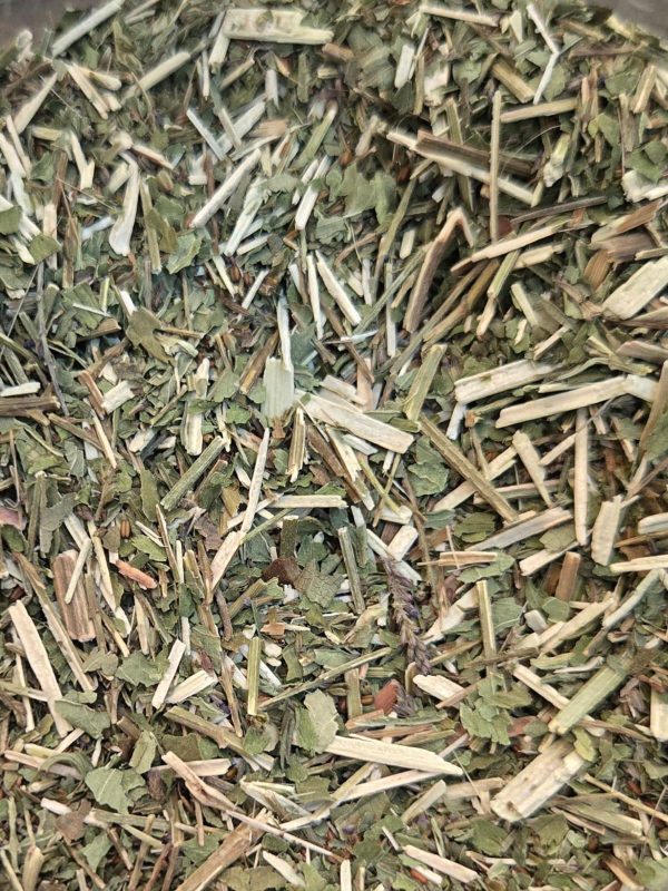 Blue Vervain (Verbena hastata)