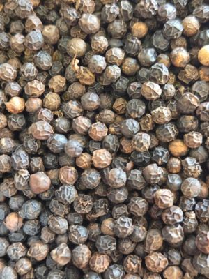 Black Peppercorn (Piper nigrum)