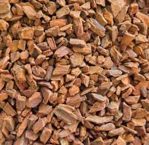 Cinnamon (Cinnamomum Burmanni)