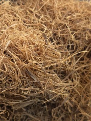 Cat’s Claw (Uncaria tomentosa)