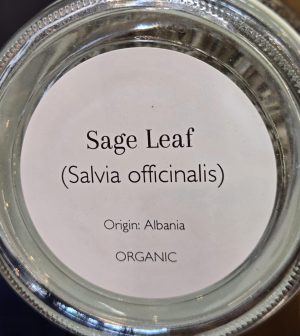 Sage Leaf 1