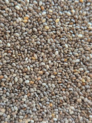 Chia Seeds (Salvia hispanica)