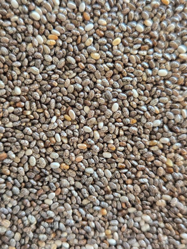 Chia Seeds (Salvia hispanica)