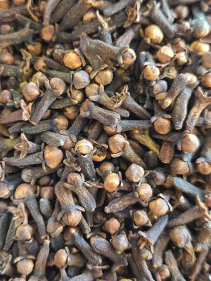 Cloves (Syzygium aromaticum)
