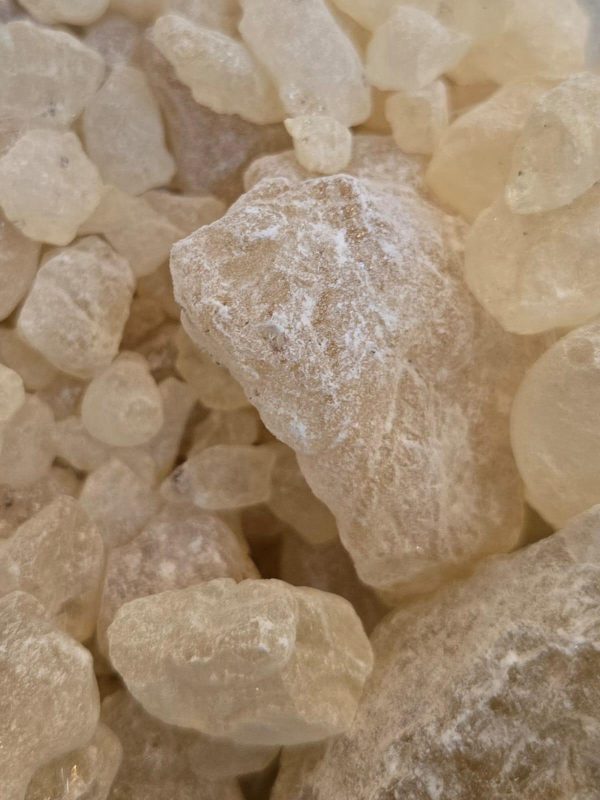 Copal Resin (Shorea javanica)