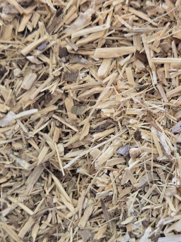 Eleuthero Root (Eleutherococcus senticosus)