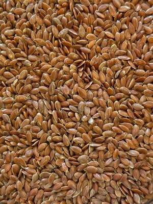 Flax Seed (Linum usitatissimum)