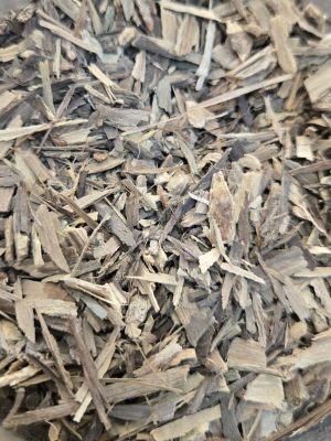Jamaican Dogwood Bark (Piscidia piscipula)
