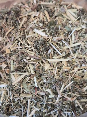 Meadowsweet (Filipendula ulmaria)