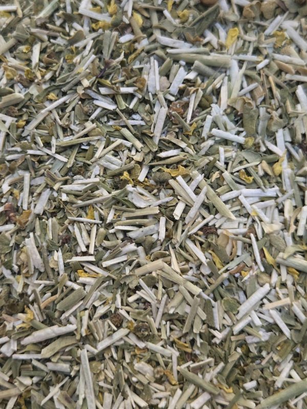 Rue (Ruta graveolens)