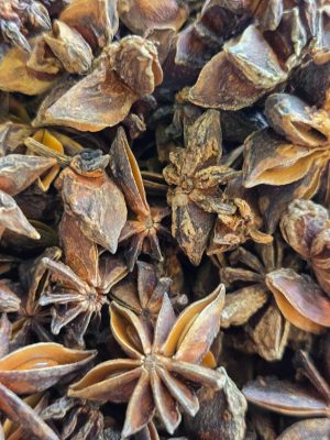 Star Anise (Illicium verum)
