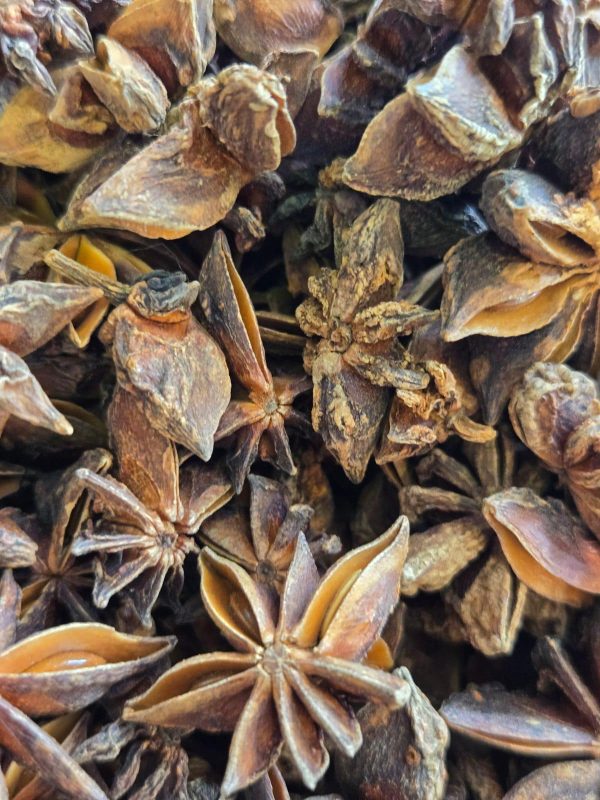 Star Anise (Illicium verum)