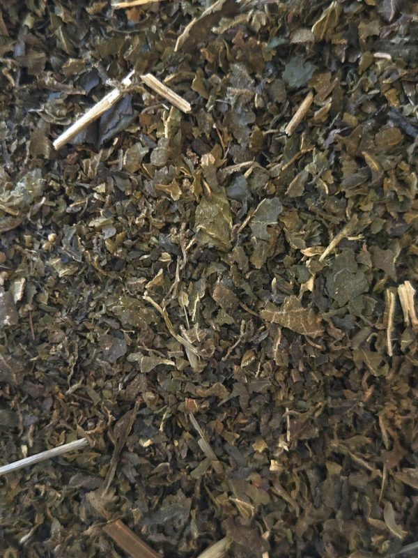 Stinging Nettles (Urtica dioica)