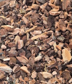 Wild Cherry Bark (Prunus serotina)