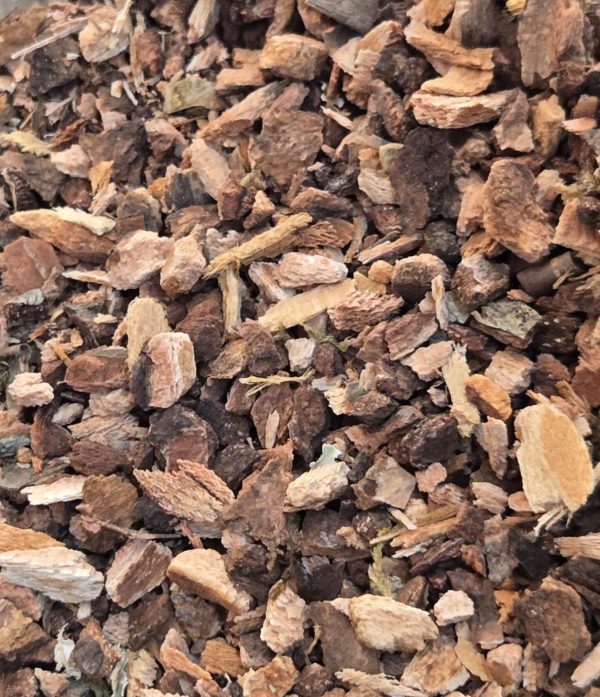 Wild Cherry Bark (Prunus serotina)