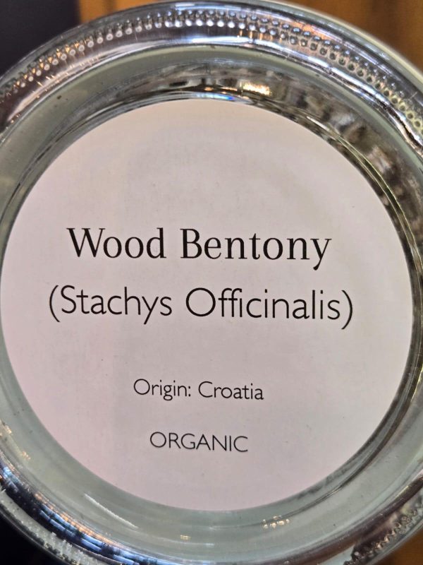 Wood Bentony (Stachys officinalis) - Image 2