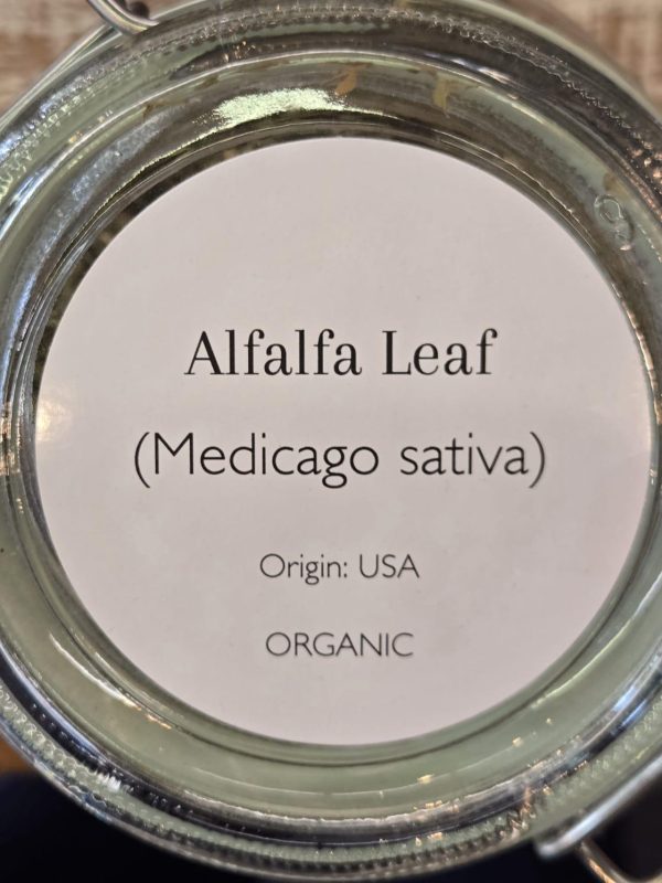 Alfalfa Leaf (Medicago sativa) - Image 2