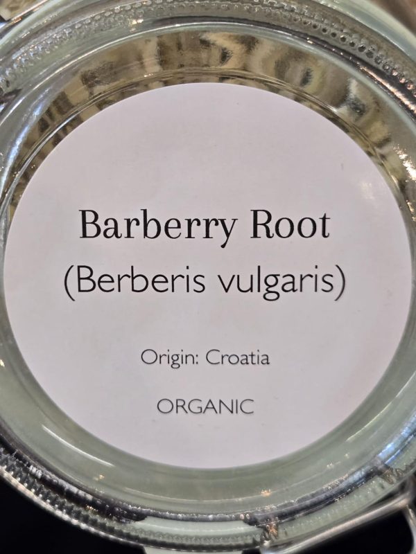 Barberry Root (Berberis vulgaris) - Image 2