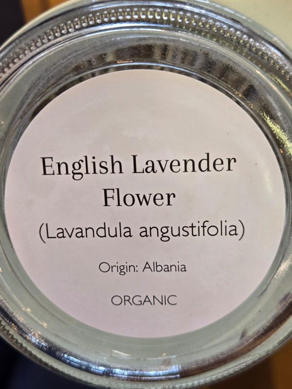 English Lavender Flower (Lavandula angustifolia) - Image 2