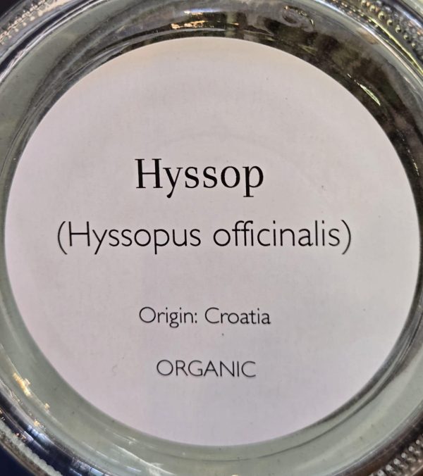 Hyssop (Hyssopus officinalis) - Image 2