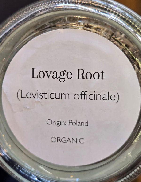 Lovage Root (Levisticum officinale) - Image 2