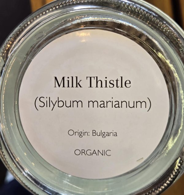 Milk Thistle (Silybum marianum) - Image 2