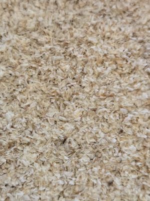 Psyllium Husks (Plantago ovata)