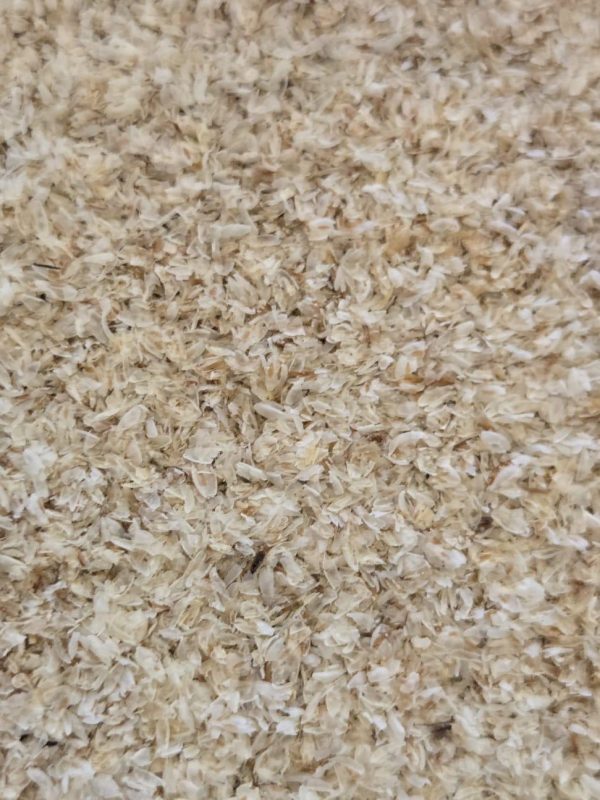 Psyllium Husks (Plantago ovata)