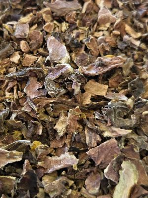 Rhodiola Root (Rhodiola rosea)