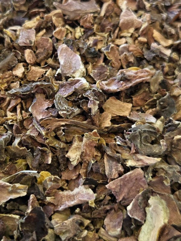 Rhodiola Root (Rhodiola rosea)